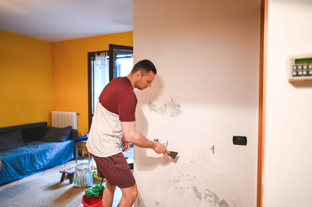 Best Certified Mold Removal  in Satsuma, AL